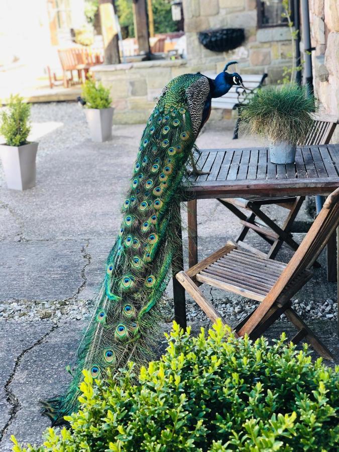 The Saddlery Cheshire Villa คองเกิลตัน ภายนอก รูปภาพ