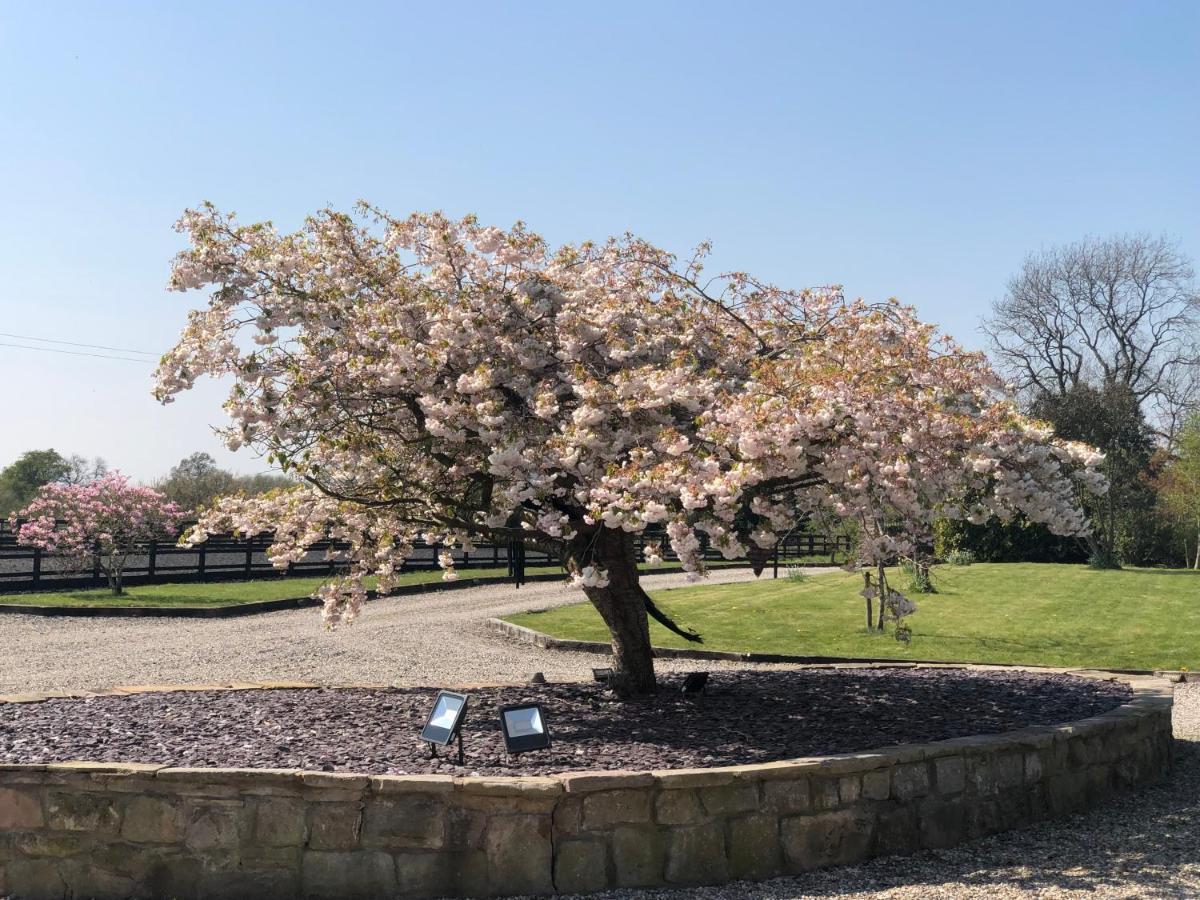 The Saddlery Cheshire Villa คองเกิลตัน ภายนอก รูปภาพ