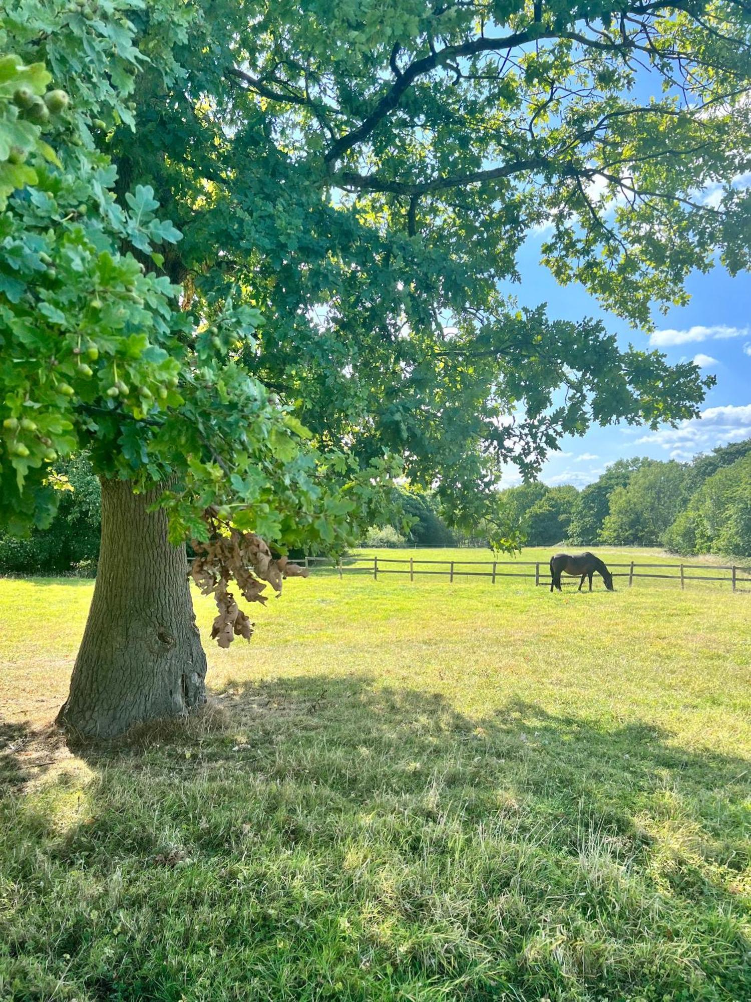 The Saddlery Cheshire Villa คองเกิลตัน ภายนอก รูปภาพ